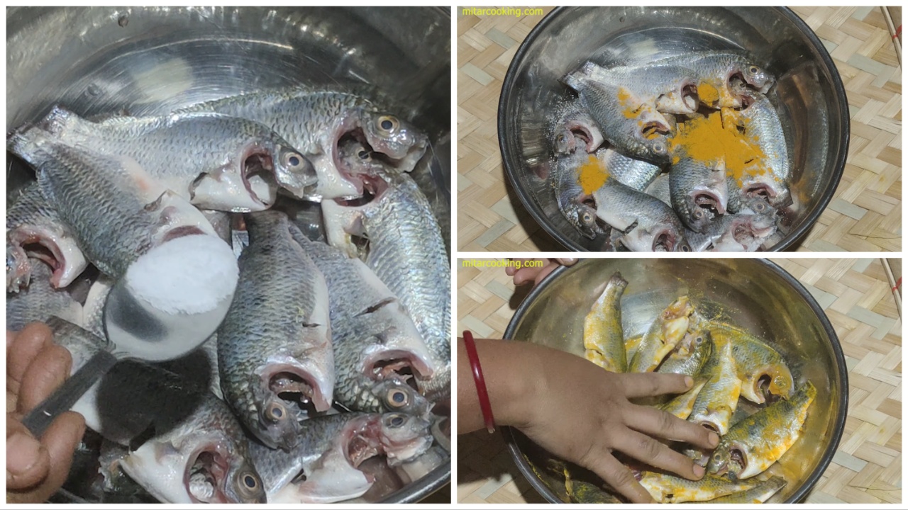 Marinating Tilapia fishes with turmeric powder and salt