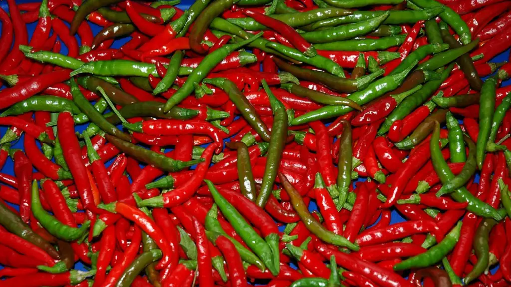 red-gongura-seeds-baag-bageecha