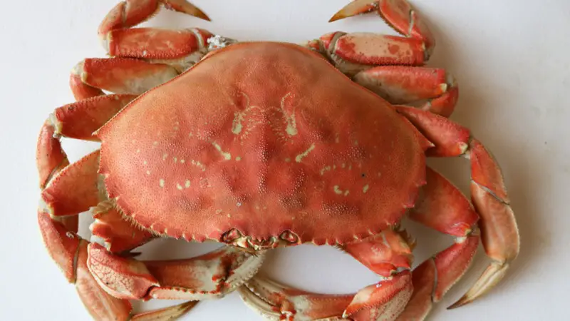 Crabs in Bengali & Indian Cooking
