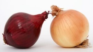 Onion in Bengali & Indian Cooking