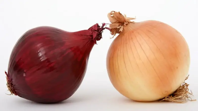 Onion in Bengali & Indian Cooking