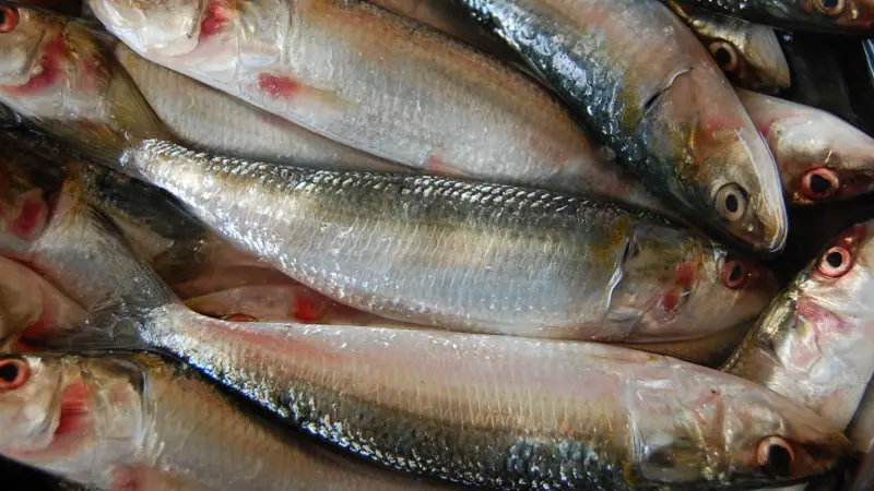 Khoira Fish in Bengali & Indian Cooking