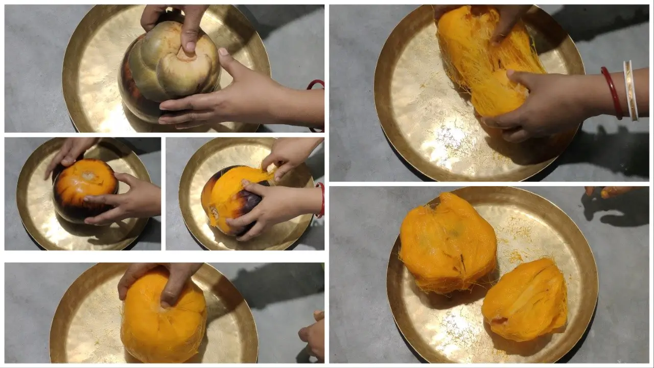 Extraction of Pulp of Tal (Sugar Palm Fruit) Step by Step
