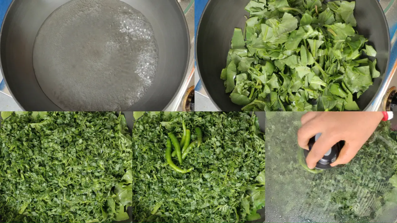 Adding spinach, chickpea greens and green chilis