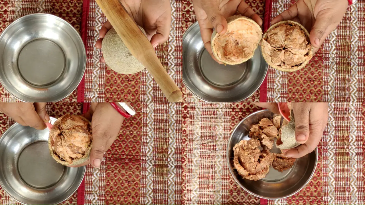 Breaking elephant wood apple with a rolling pin and scooping out the pulp
