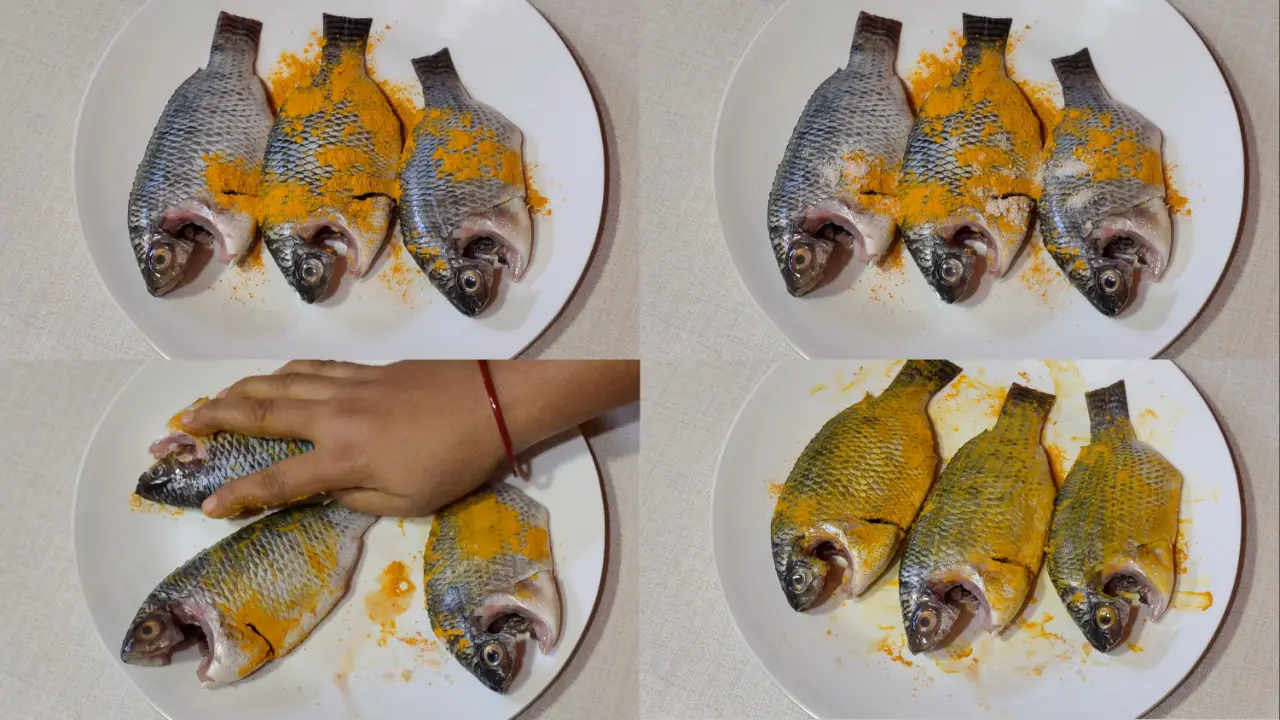 Marinating Tilapia fish with salt and turmeric powder