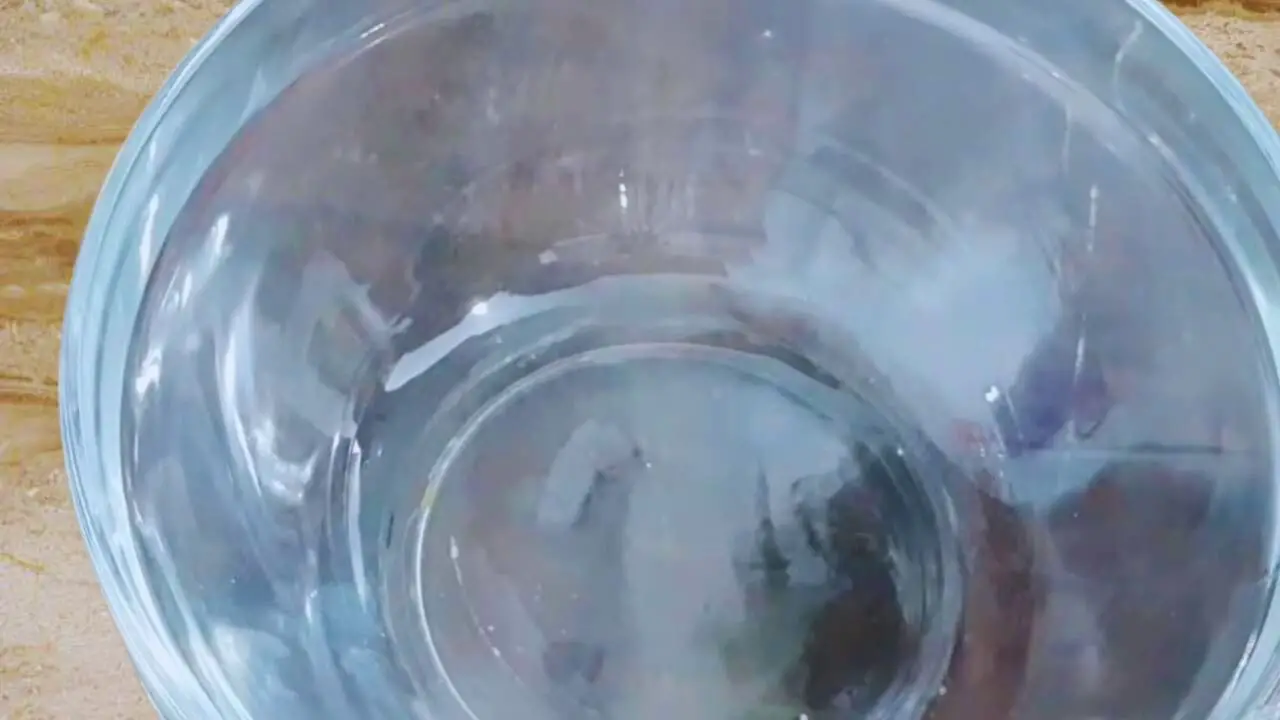 A clean bowl