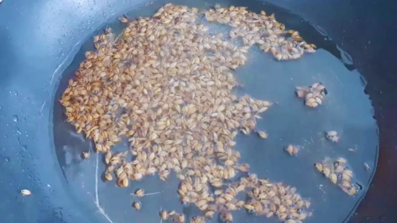 Adding 1 tsp of cumin seeds