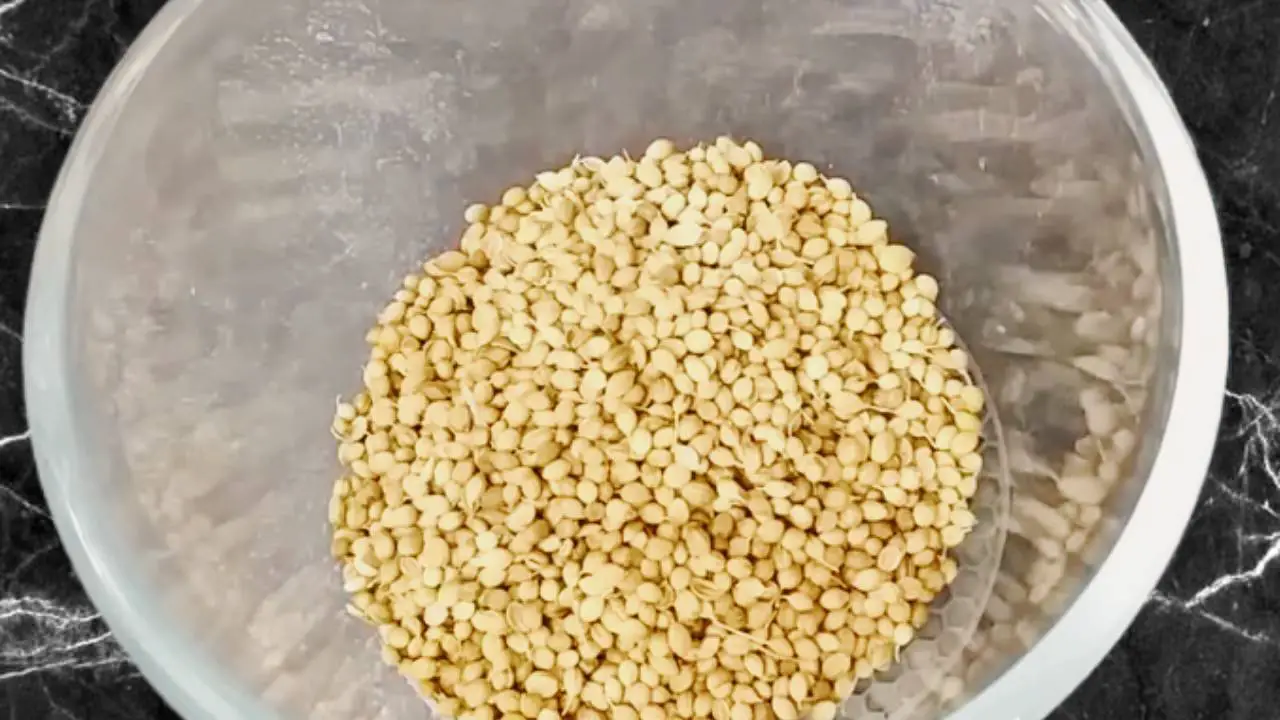 Adding 6 tbsp of coriander seeds