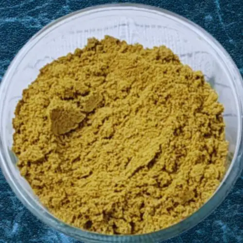 Chaach Masala Powder Featured Image