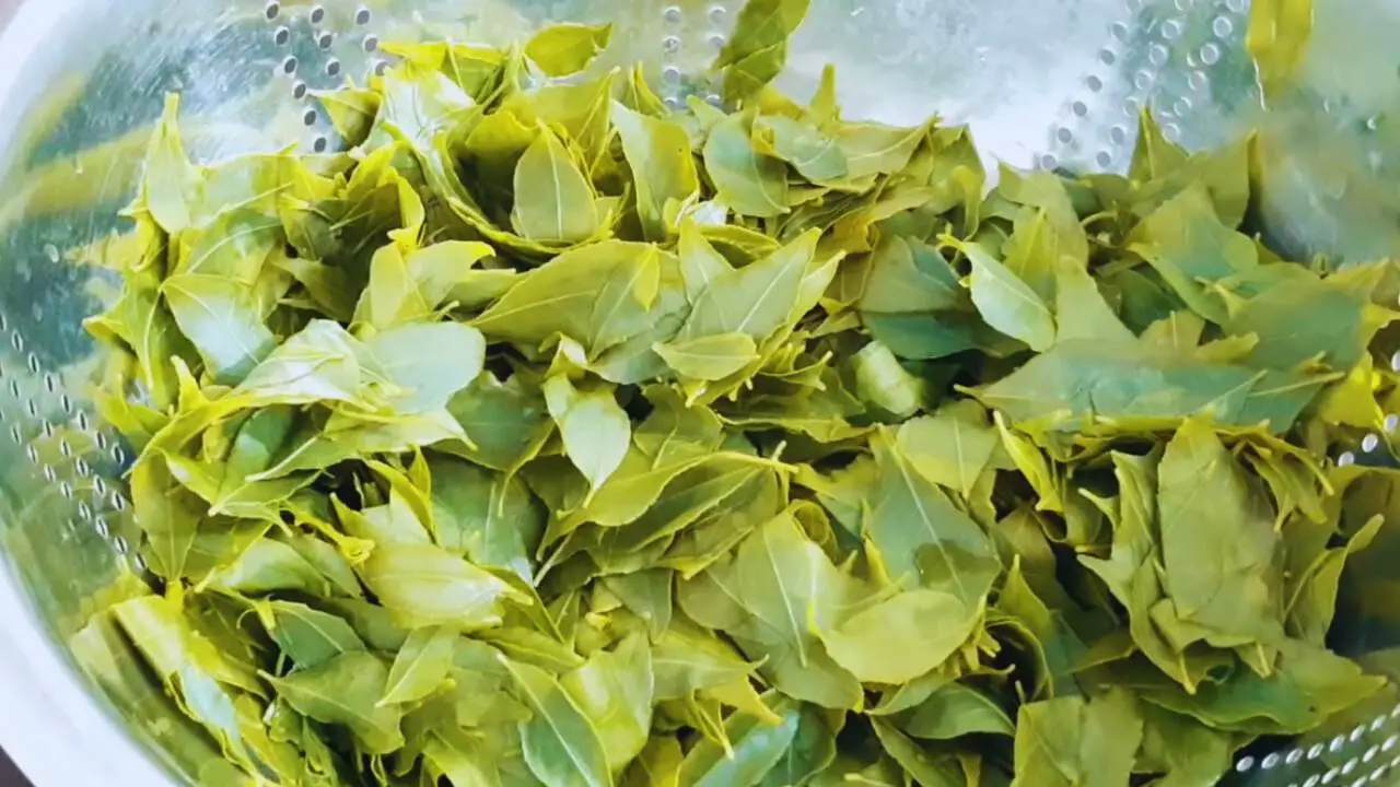 Straining the water to separate the curry leaves