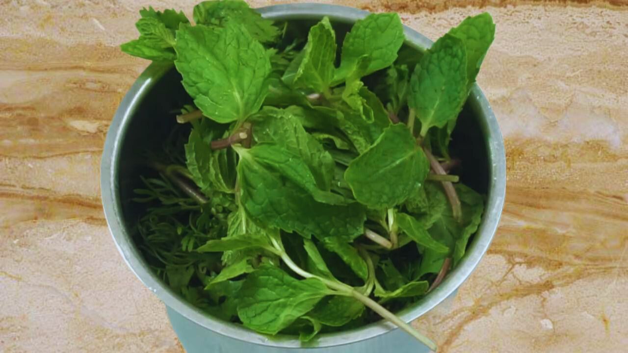 Adding ½ a cup of fresh and green mint (pudina) leaves to it
