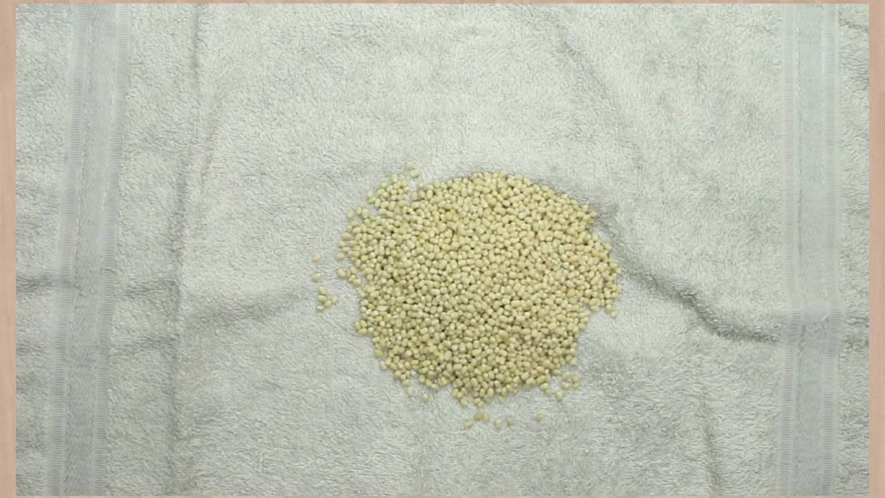 Pouring ¾ cup de-husked black gram split (Urad dal) on a dry and clean kitchen towel