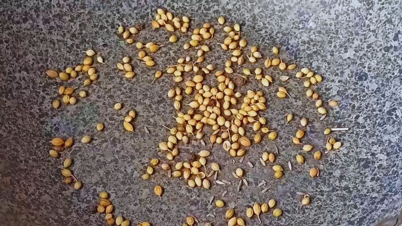 Putting 1 tbsp of coriander seeds