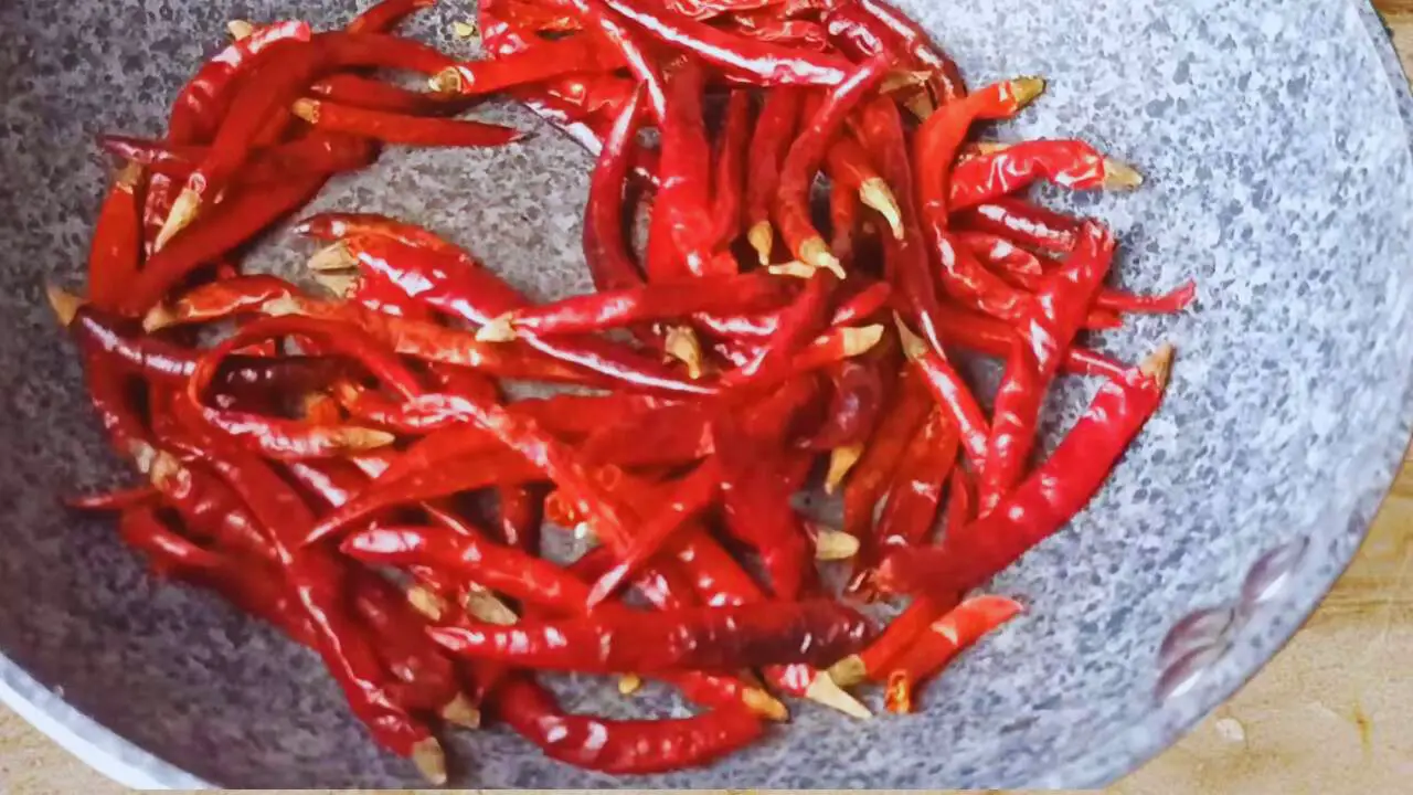 Adding 50 gms of dry red chilies to the pan