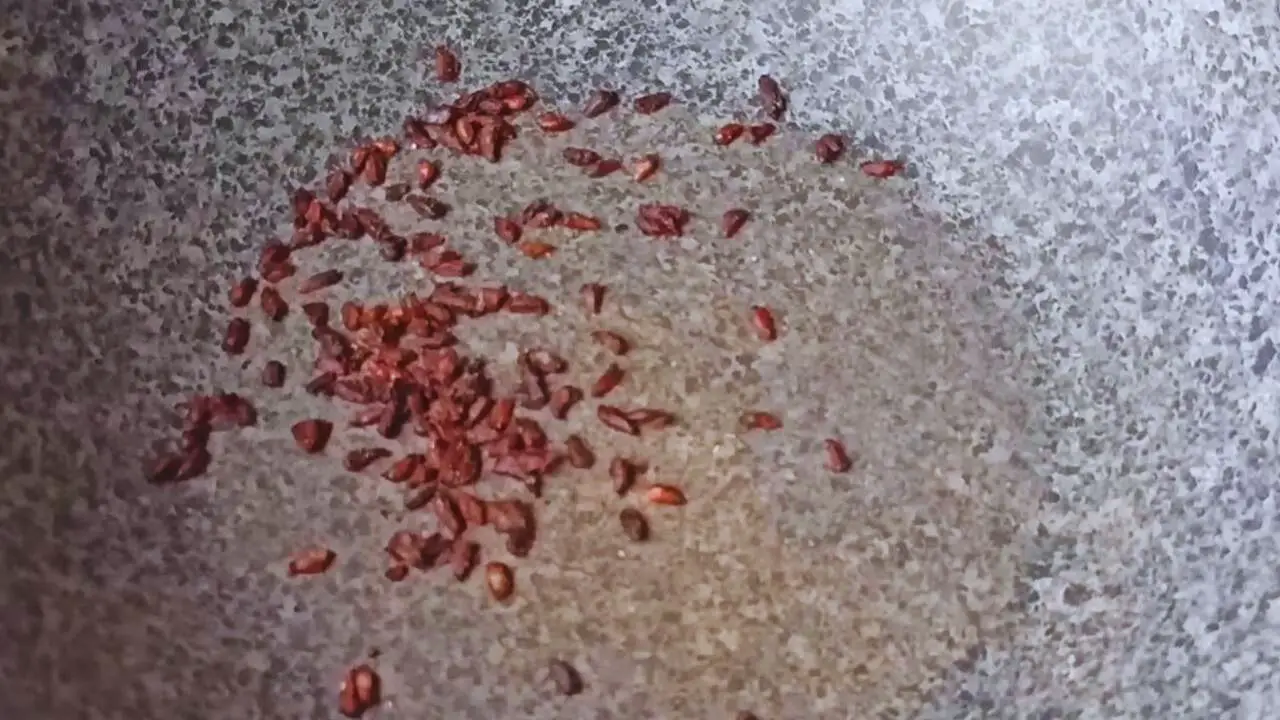Putting 1 tbsp of dry pomegranate seeds