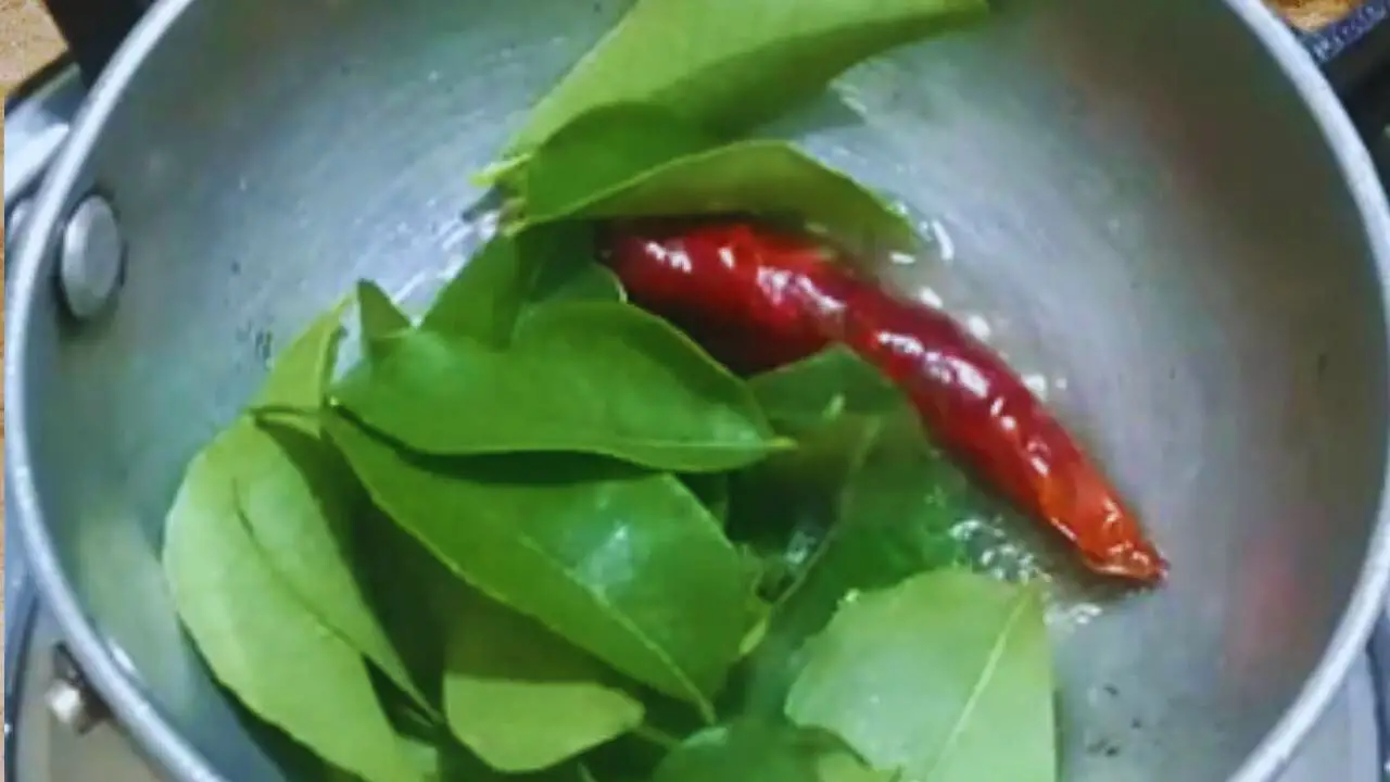 Adding about 10 pieces of fresh curry leaves