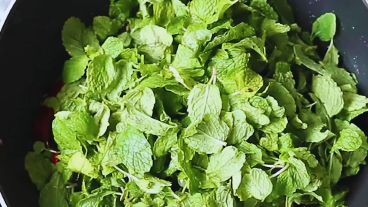 Added 2 cups of fresh and nicely washed mint leaves