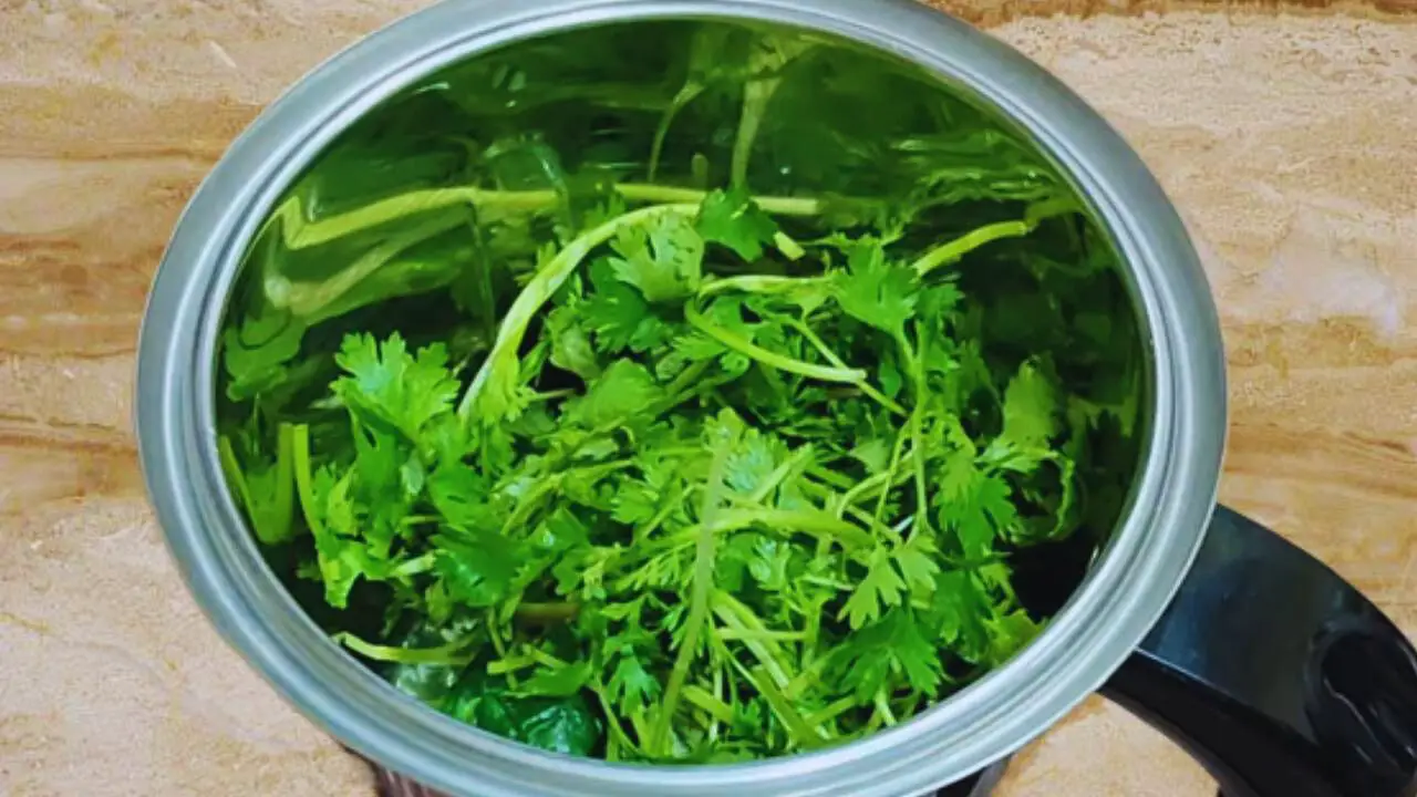 Adding about ½ cup of fresh coriander leaves in grinder