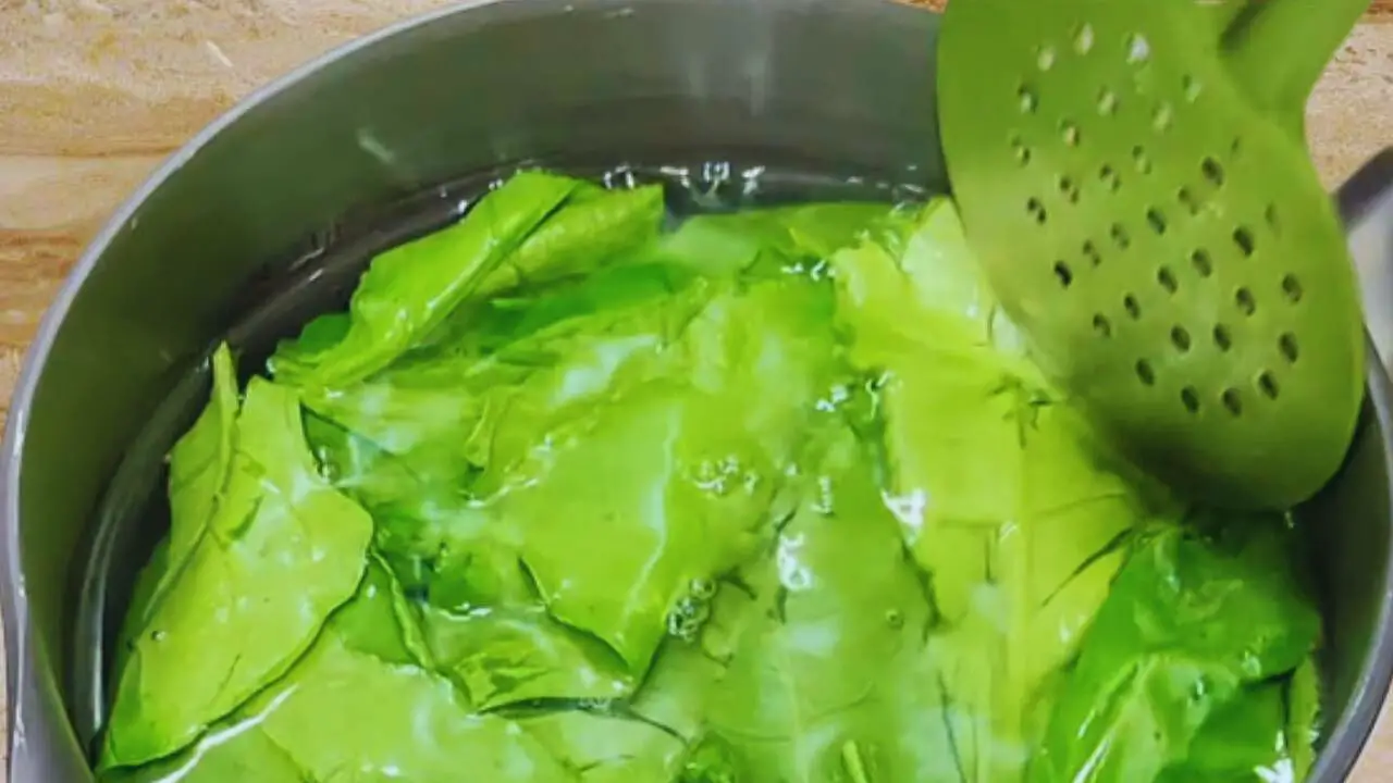 Leaves are immersed in water and blanching them