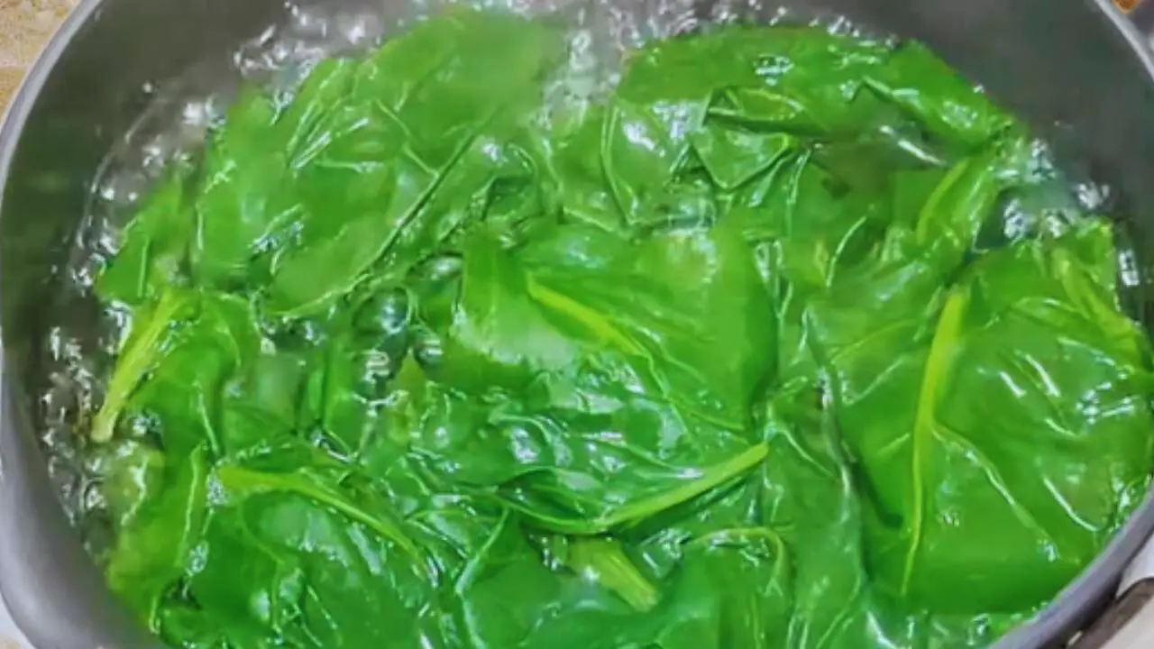 Spinach leaves become softer and darker in color