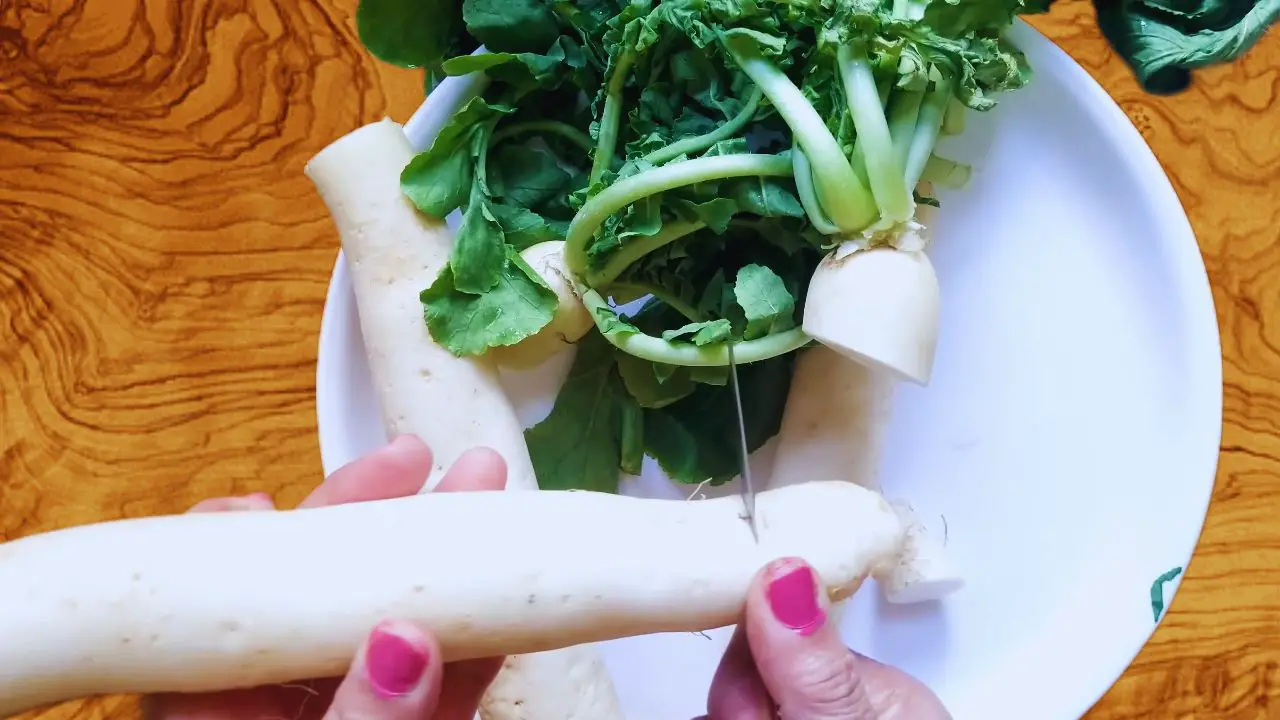 Cutting radishes