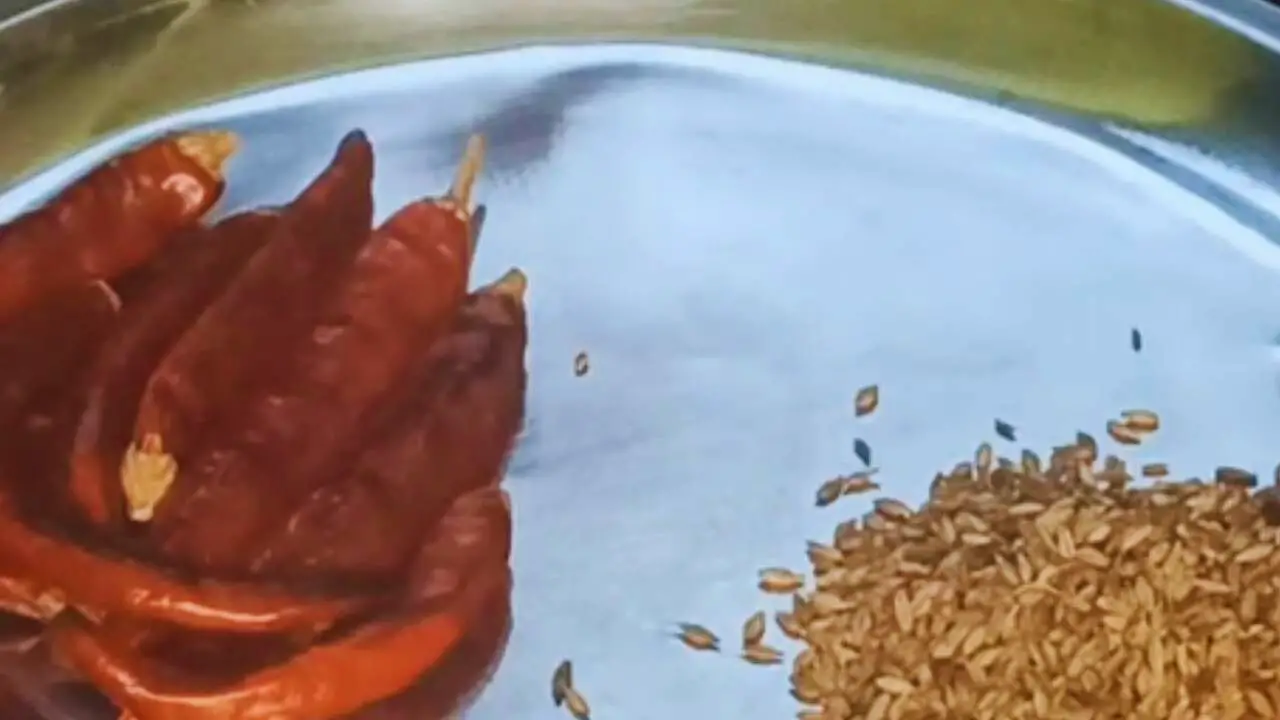 dry red chilies and cumin seeds