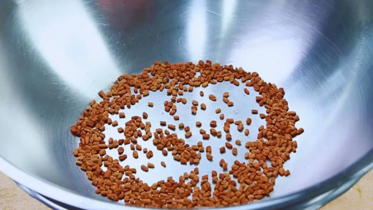 Dry roasting 1 tbsp of fenugreek seeds