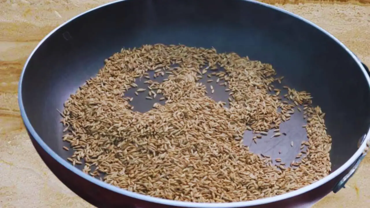 Roasted cumin seeds