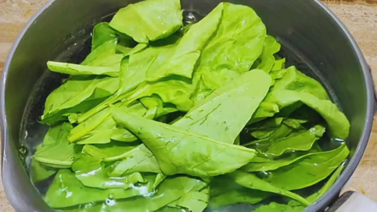 Spinach leaves into the water