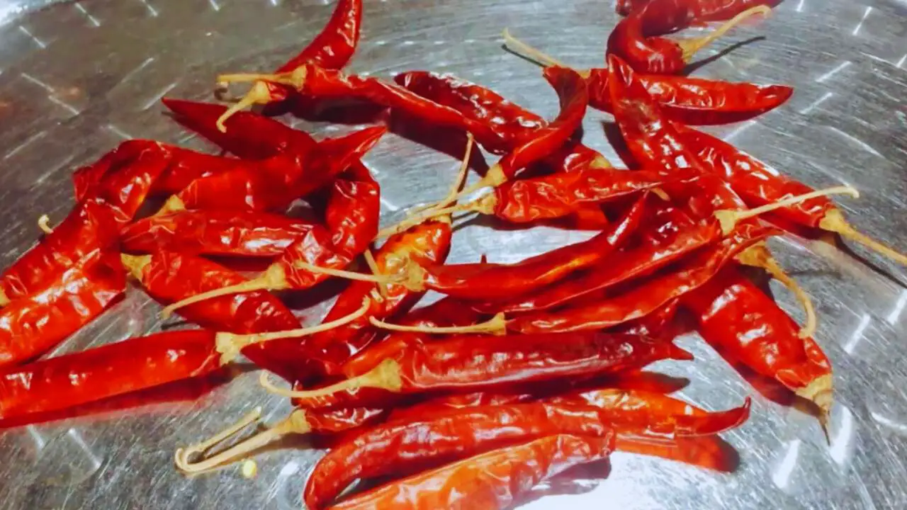 25 to 30 pieces of Kashmiri dry red chilies of medium size in pan