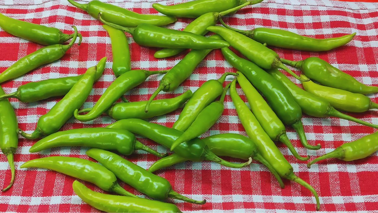 250gm of green chilis