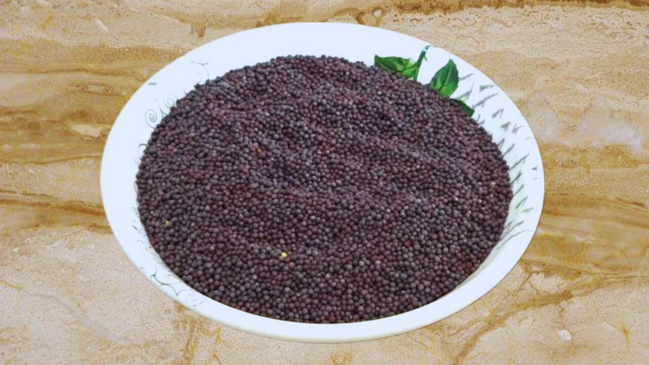200 gm of clean and fresh mustard seeds in a bowl