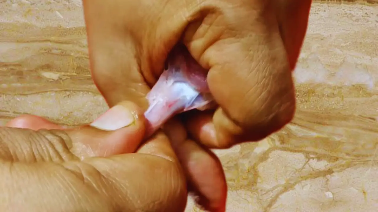 Pulling the meat in chicken wings 