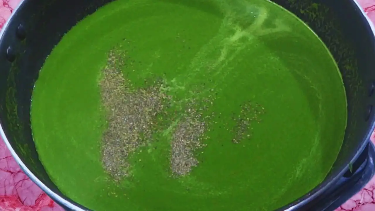 Palak soup recipe step 9 Adding black pepper