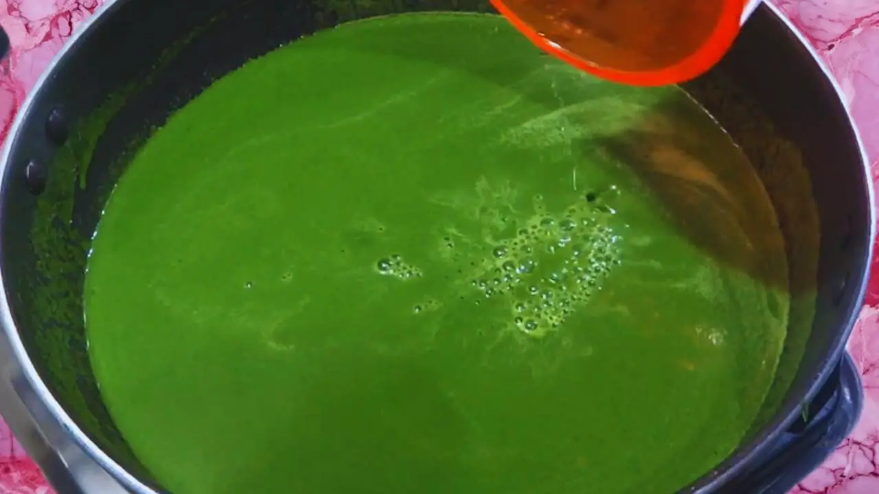 Palak soup recipe step 8 Adding more water