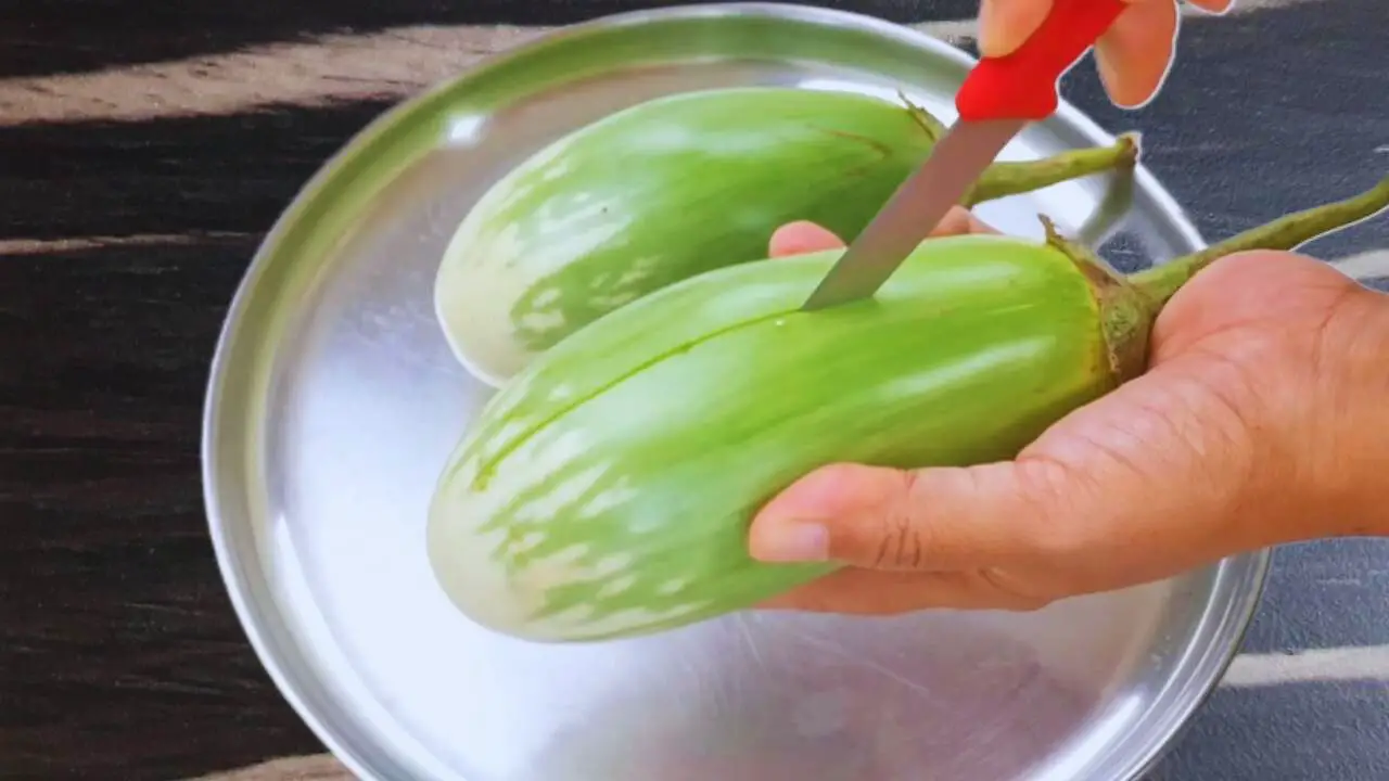 Making incisions on brinjals 