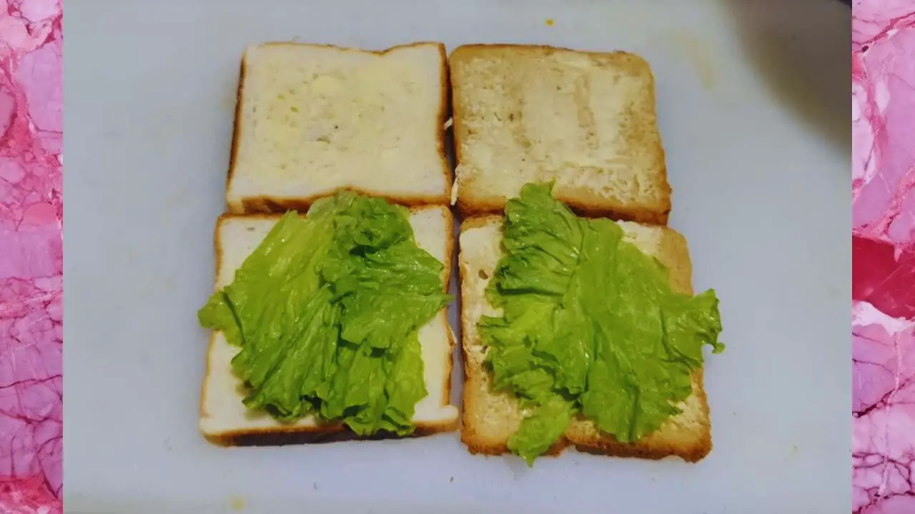 Putting lettuce 