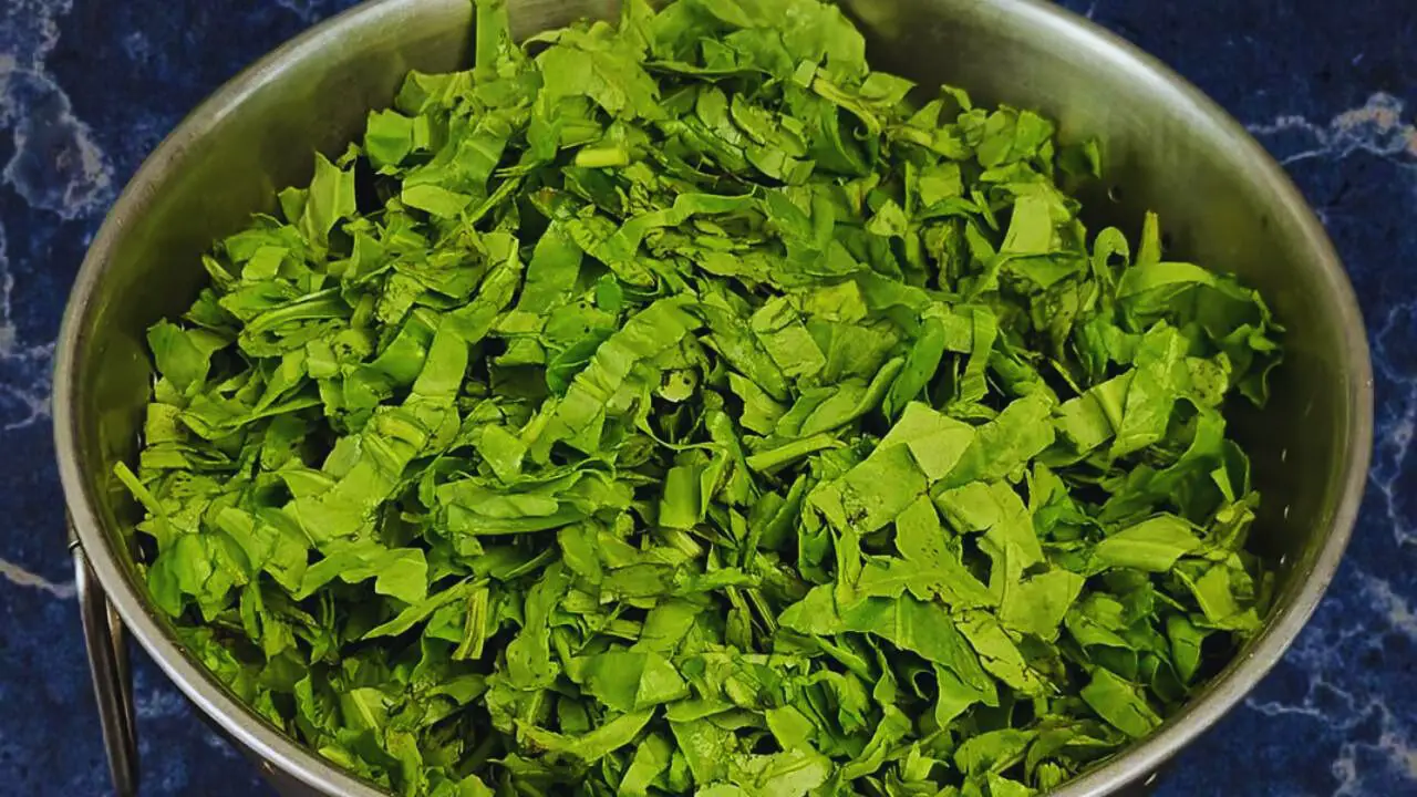 Chopped spinach 