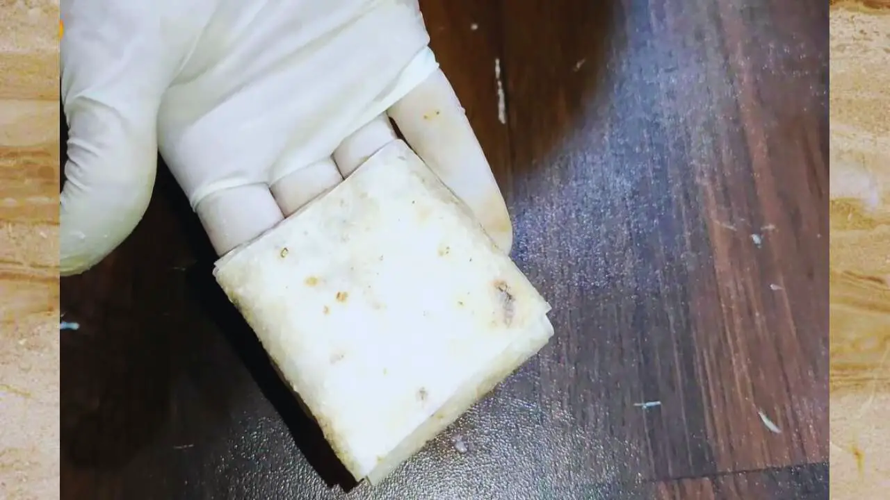 Mutton pocket ready to fry 