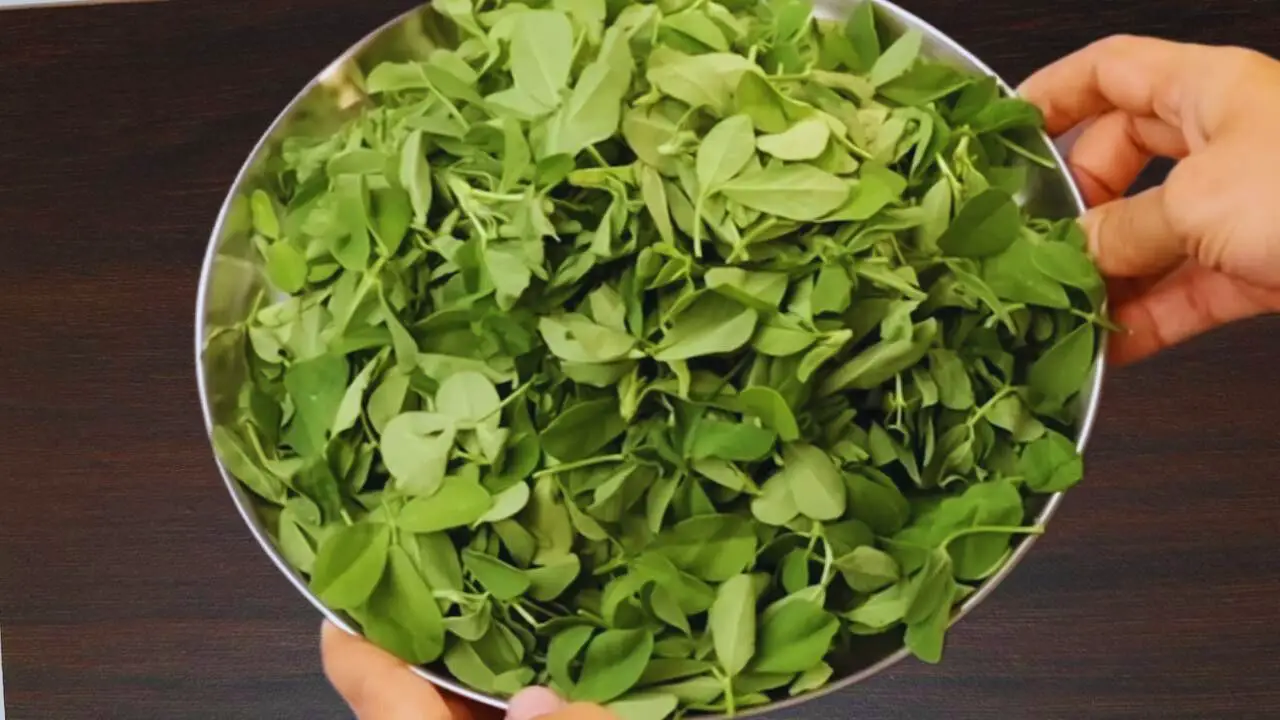 Sorting methi leaves 