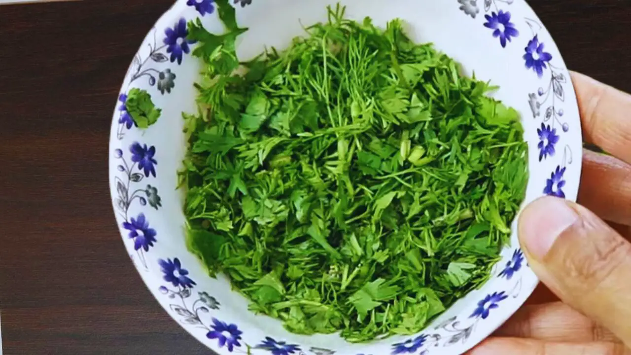 Chopped coriander 