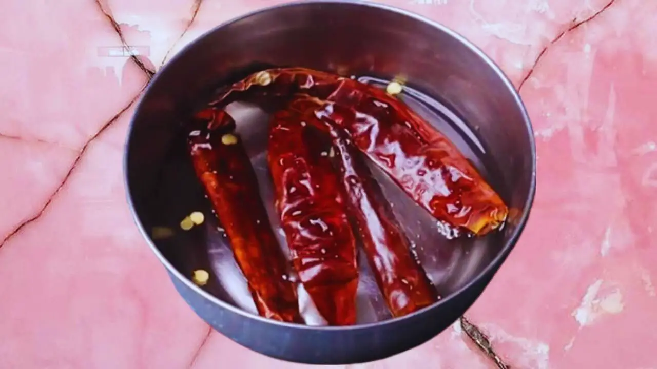 Soaking dry red chilies 