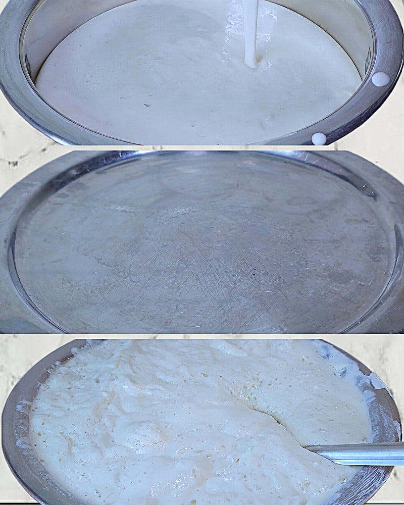 Fermented batter